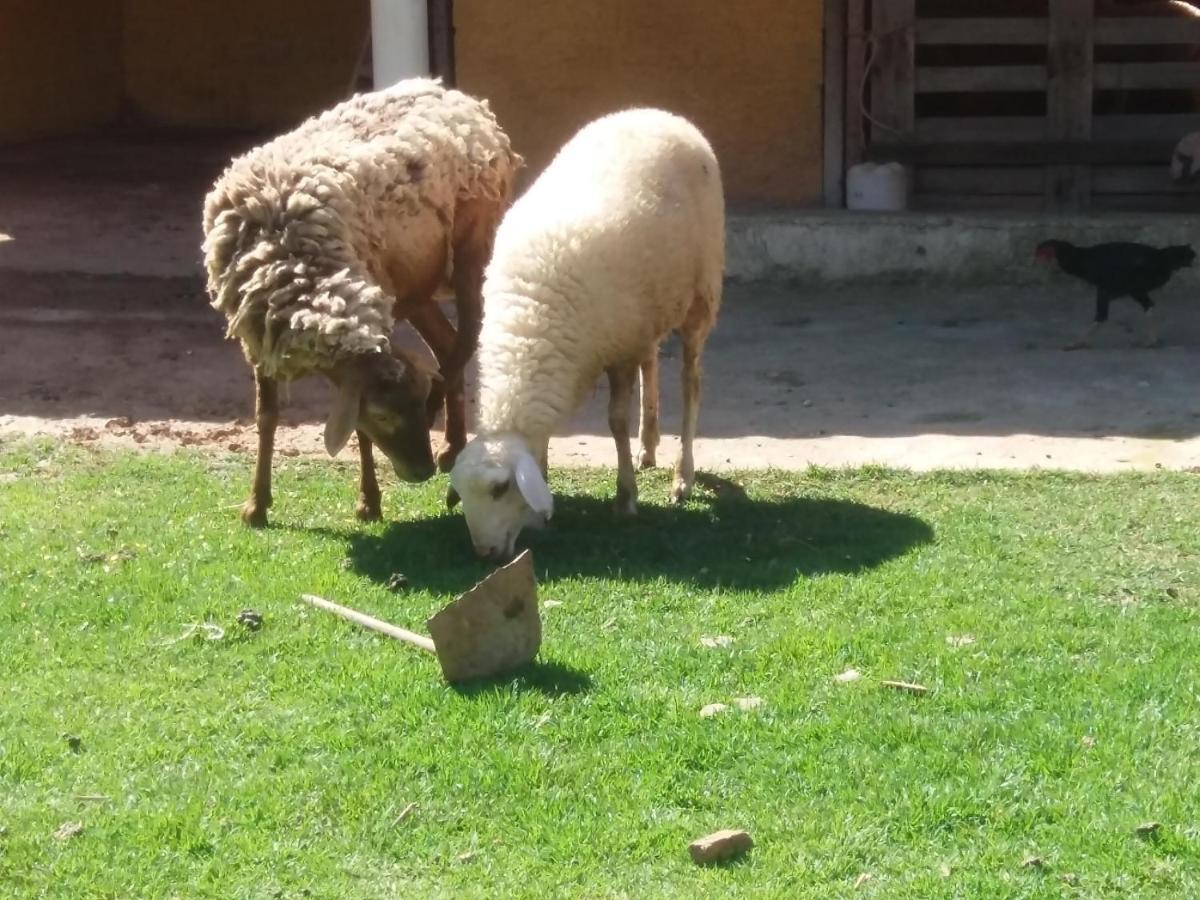 סרה נגרה Molise Hotel Fazenda מראה חיצוני תמונה